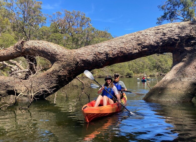 Picture 5 for Activity Margaret River: Guided Kayaking & Winery Tour with Lunch