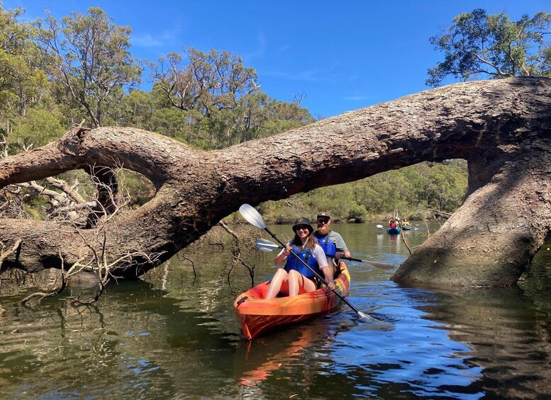 Picture 5 for Activity Margaret River: Guided Kayaking & Winery Tour with Lunch