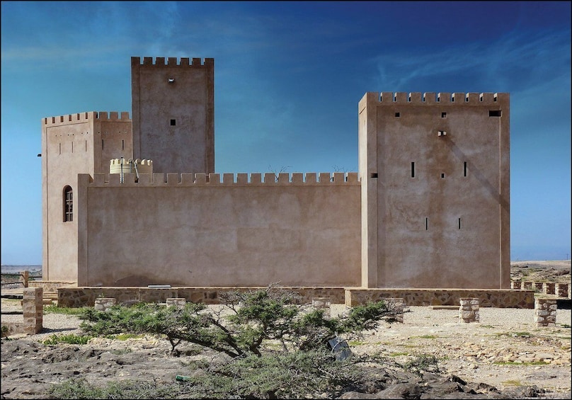 Salalah: Full-Day Dhofar Tour with Lunch