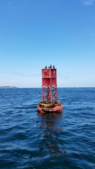 Picture 7 for Activity Monterey: Catamaran Sailing Cruise