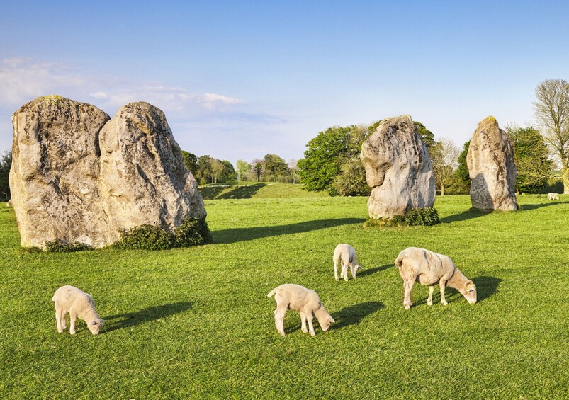 Stonehenge & the Cotswolds from Bath 