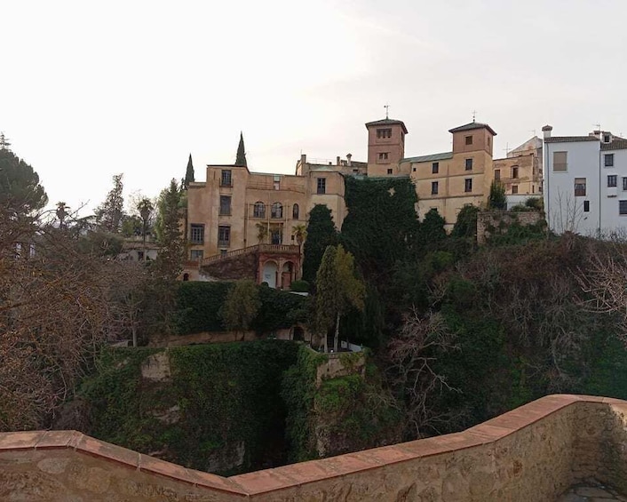 Picture 18 for Activity Malaga: Ronda & Setenil de las Bodegas Trip