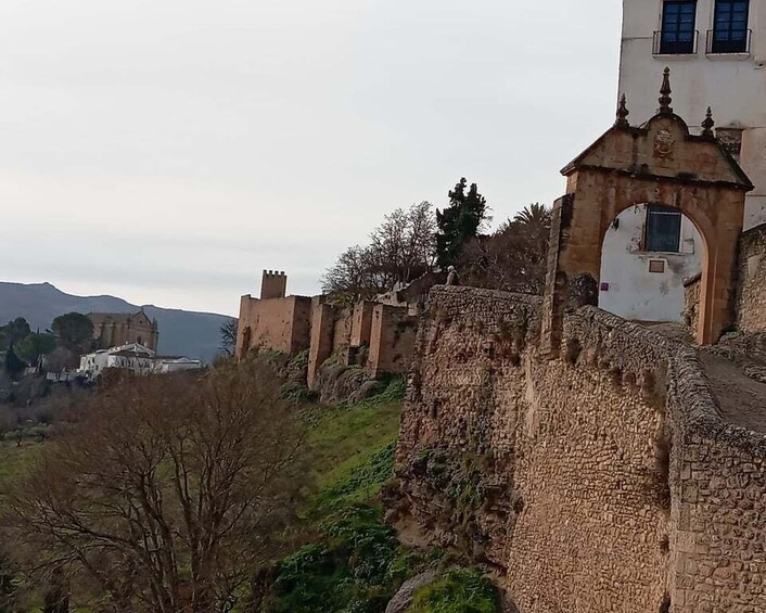 Picture 7 for Activity Malaga: Ronda & Setenil de las Bodegas Trip