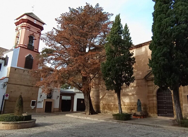 Picture 16 for Activity Malaga: Ronda & Setenil de las Bodegas Trip