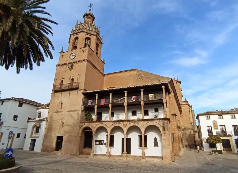 Picture 12 for Activity Malaga: Ronda & Setenil de las Bodegas Trip