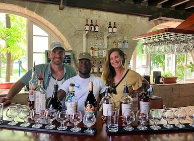 Barbados: Rum Distilleerderij Tour en Mount Gay Bezoekerscentrum