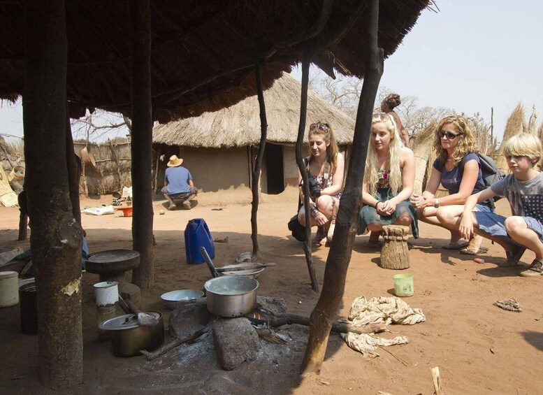 Picture 2 for Activity From Victoria Falls: Zimbabwe Traditional Village Tour