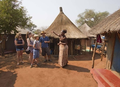Depuis les chutes Victoria : Visite d'un village traditionnel du Zimbabwe