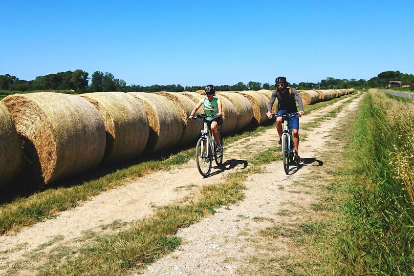 Picture 4 for Activity Pisa: Cycling to the Sea on a Self-Guided Tour