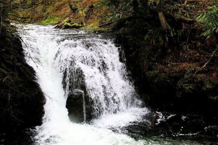 Multnomah is a "triple fall"