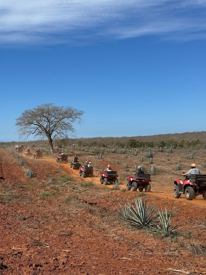 Picture 2 for Activity ATV & TEMAZCAL COMBO TOUR