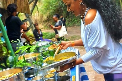 Healing Guided Nature Experience and Waterfall Brunch in Jamaica