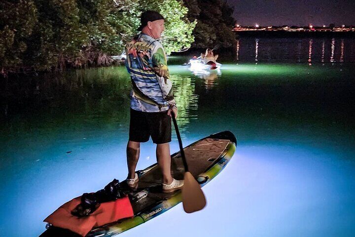 Clear Kayak LED Night Glass Bottom Tour - Terra Ceia/St Pete