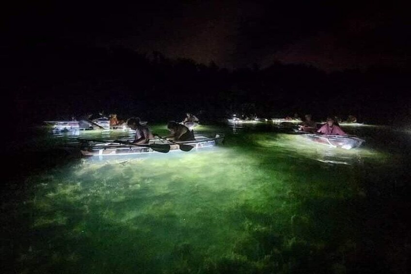 Clear Kayak LED Night Glass Bottom Tour at Terra Ceia in St Pete