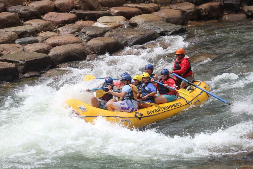 Picture 9 for Activity From Durango: Animas River Whitewater Rafting