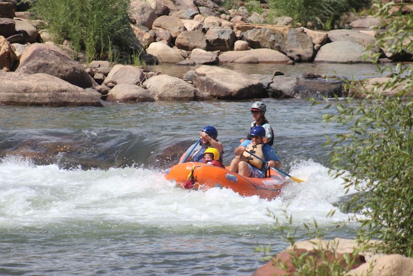 Picture 6 for Activity From Durango: Animas River Whitewater Rafting