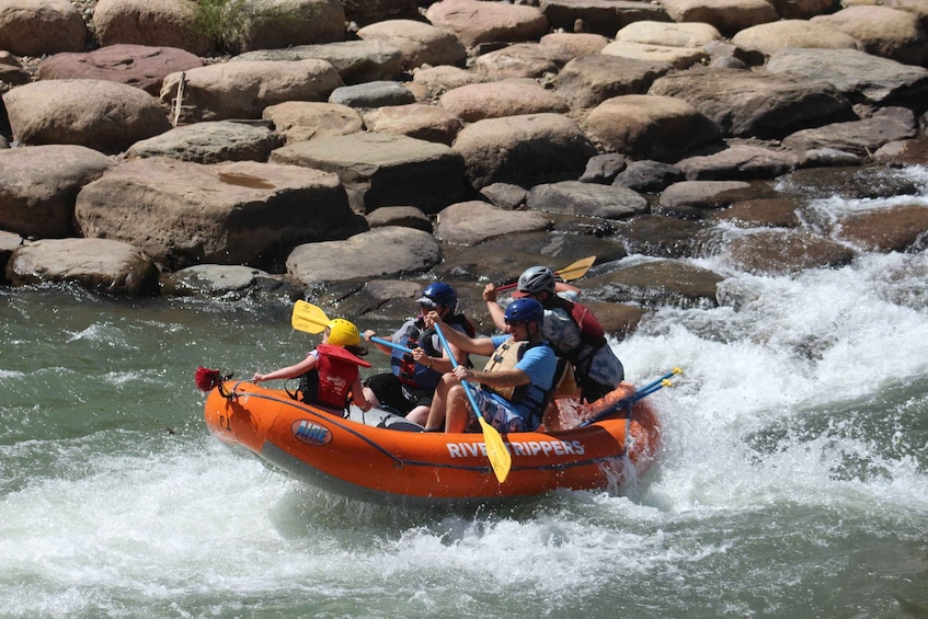 Picture 1 for Activity From Durango: Animas River Whitewater Rafting