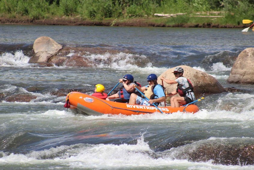 Picture 7 for Activity From Durango: Animas River Whitewater Rafting