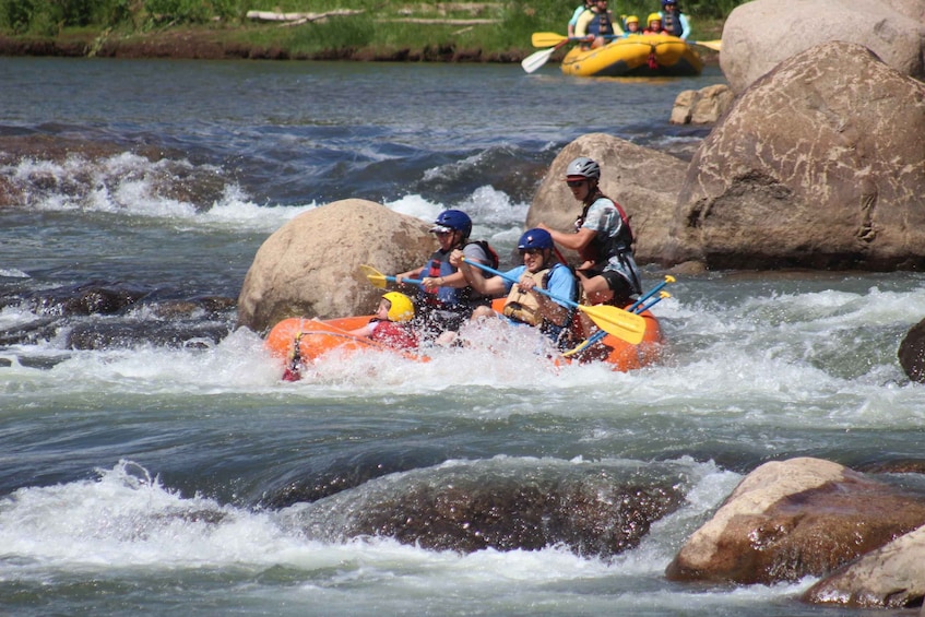 Picture 8 for Activity From Durango: Animas River Whitewater Rafting