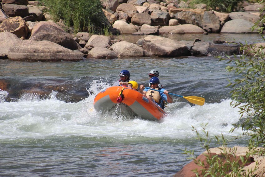 Picture 4 for Activity From Durango: Animas River Whitewater Rafting