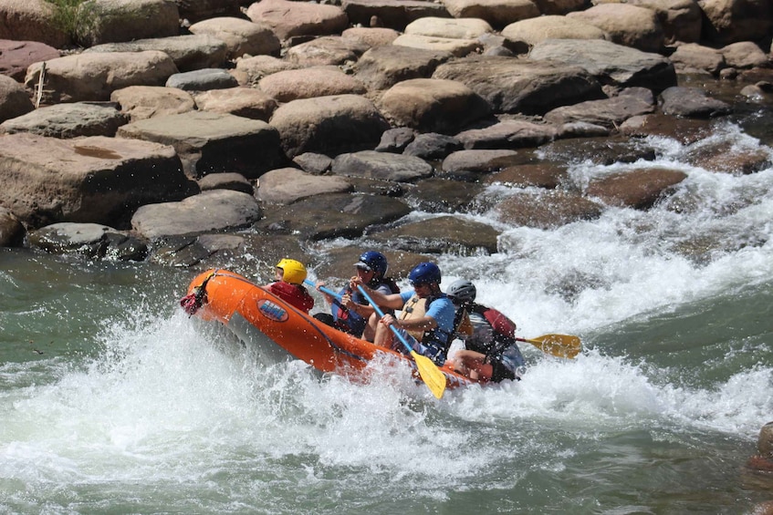 Picture 5 for Activity From Durango: Animas River Whitewater Rafting