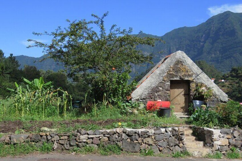 Wine tasting and Jeep Adventure in Madeira's Majestic Countryside