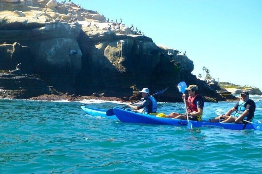 La Jolla Sea Caves Kayak Tour (Tandem Kayak)