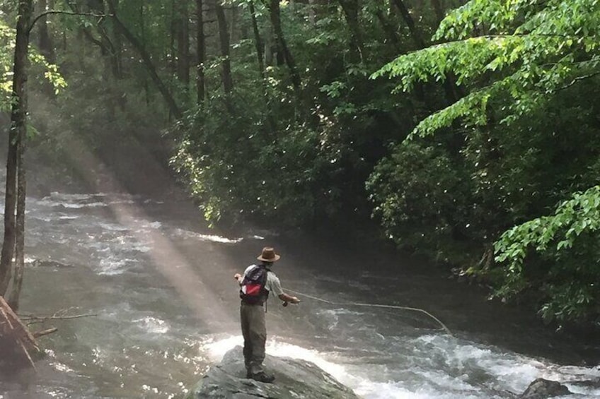 Smoky Mountains National Park Half Day Fly Fishing