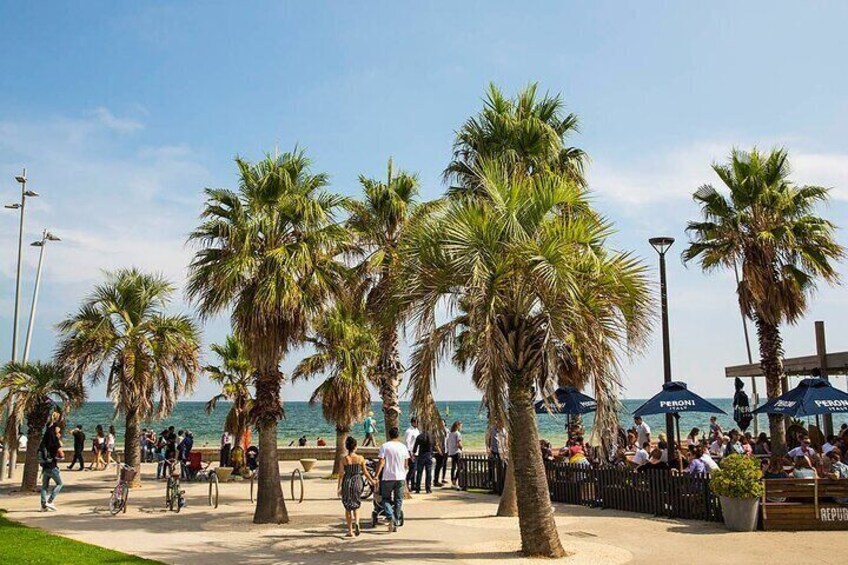 Melbourne City and Suburbs Highlights Bus and Walk Tour
