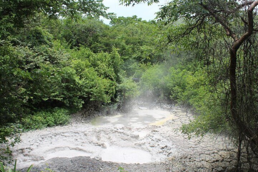 Rincon de la Vieja Volcano Guided Hike