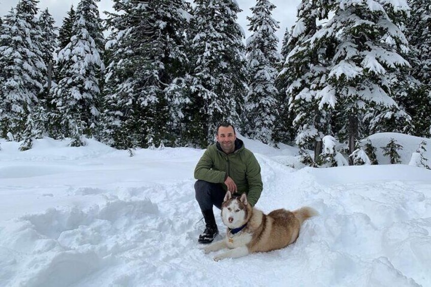 Husky Private Hikes in Bowen Island