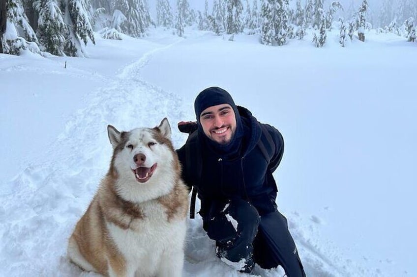 Husky Private Hikes in Bowen Island