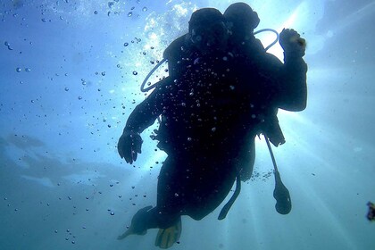 Lisbonne : Plongée sous-marine écologique pour débutants