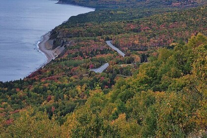 6 Hours Mini Cabot Trail Tour