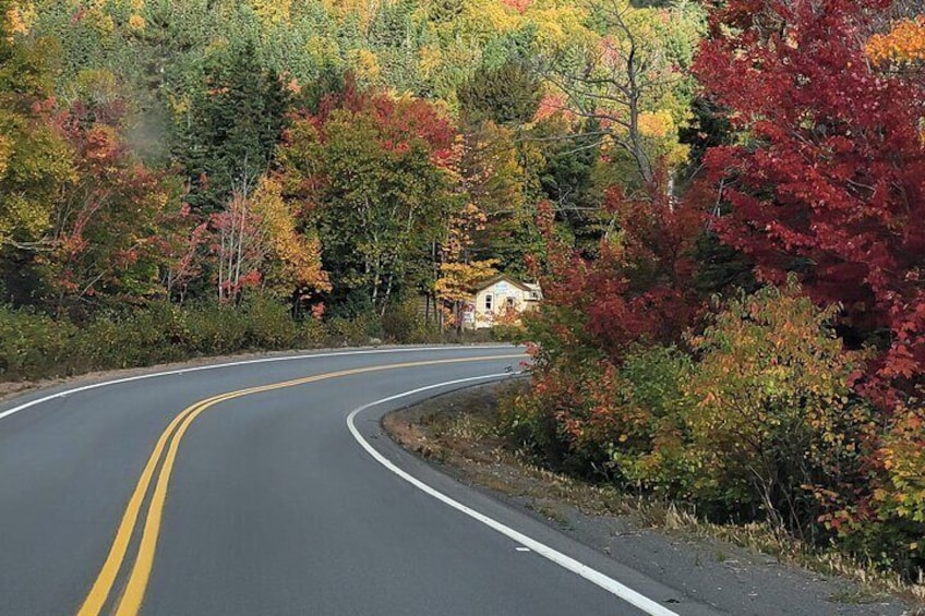 6 Hours Mini Cabot Trail Tour