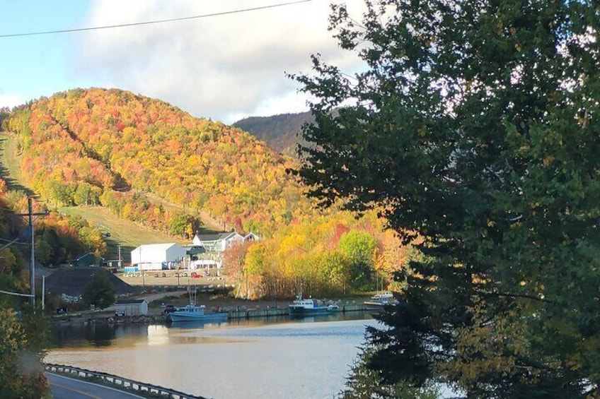 6 Hours Mini Cabot Trail Tour