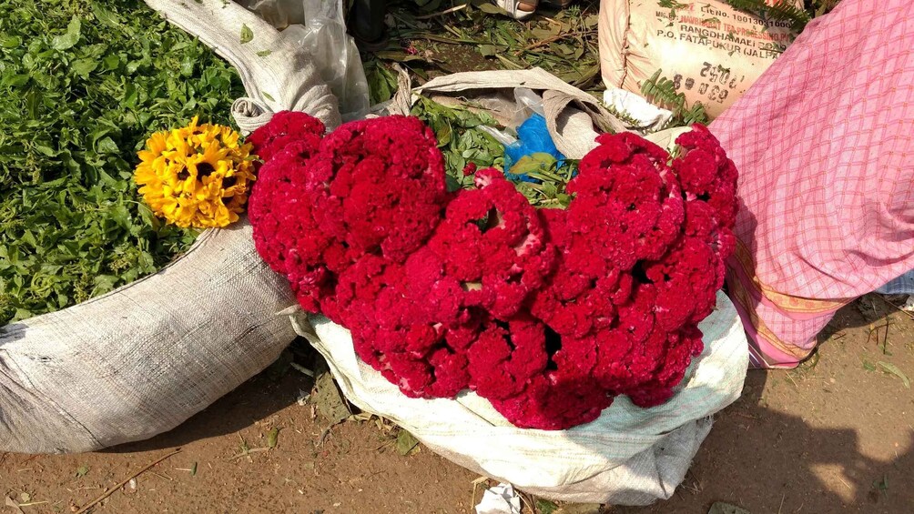 Kolkata: Half-Day Morning Tour w/ Flower Market