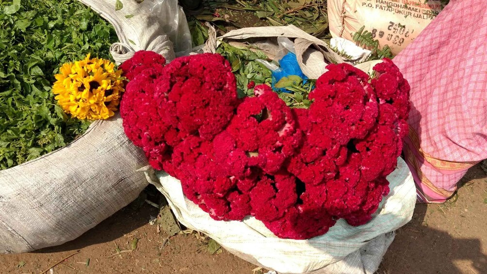 Kolkata: Half-Day Morning Tour w/ Flower Market