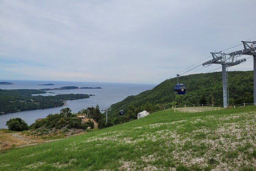 Cabot Trail High Flyer