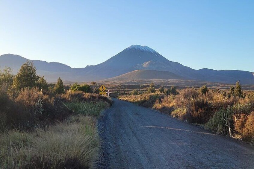 Tongariro Alpine Crossing One Trip Shuttle From Ketetahi Parking