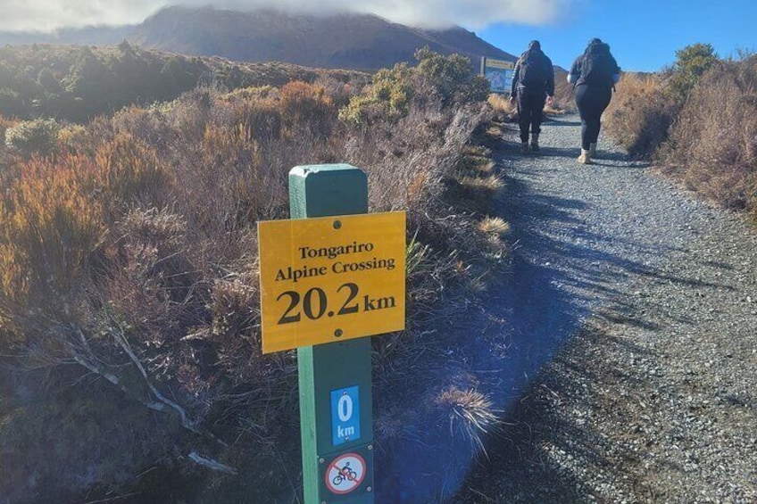 Tongariro Alpine Crossing One Trip Transfer From Ketetahi Parking