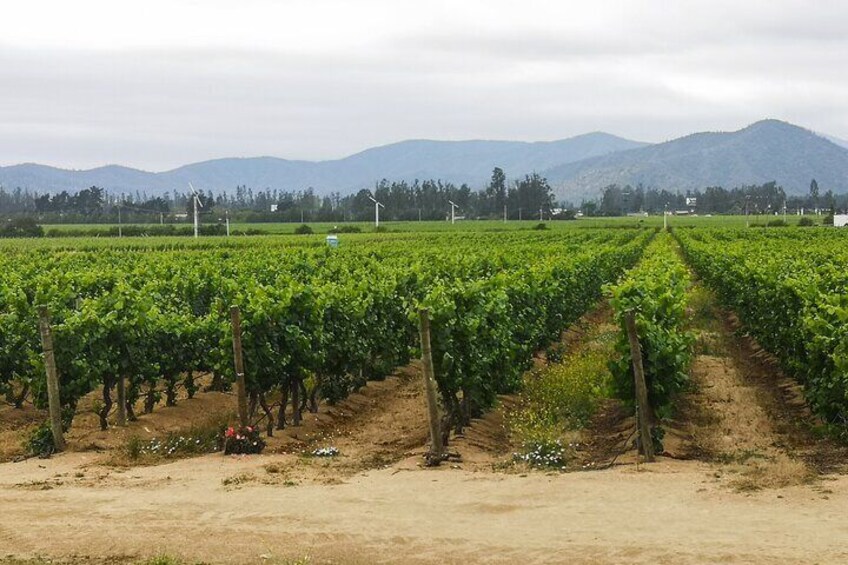 Private Helicopter Flight to winery with Sparkling Wine tasting
