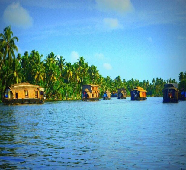 Picture 1 for Activity Kerala: 4-Day Tour with Tree House Stay & Houseboat Ride