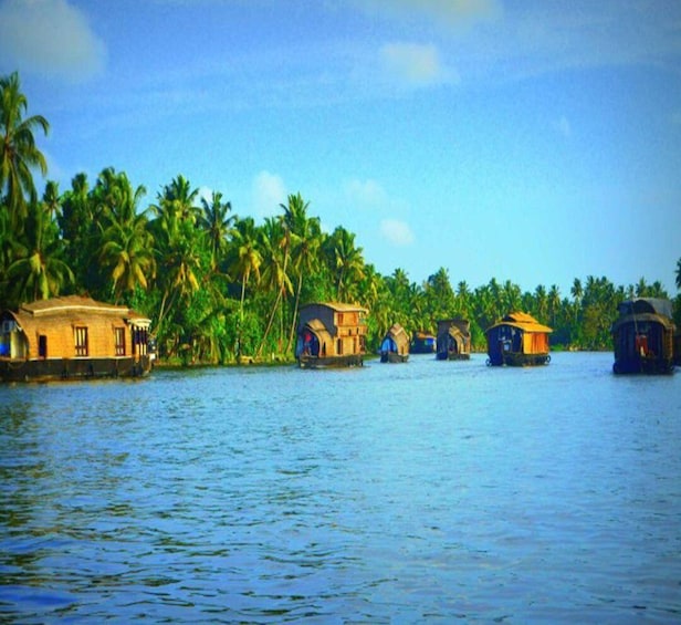 Picture 1 for Activity Kerala: 4-Day Tour with Tree House Stay & Houseboat Ride