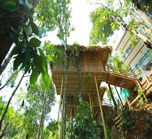 Kerala: Tur 4 Hari dengan Tree House Stay & Houseboat Ride