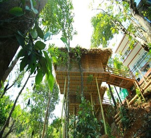 Kerala: 4 päivän kierros Tree House Staylla ja asuntolaivamatkalla