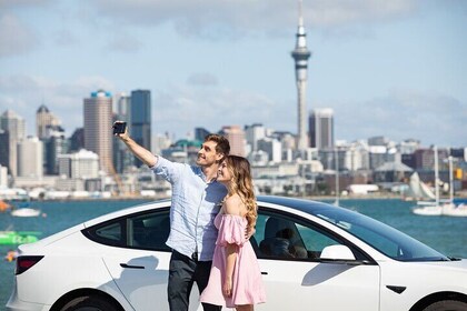 GoGuided Auckland City Tour (Car/Van)