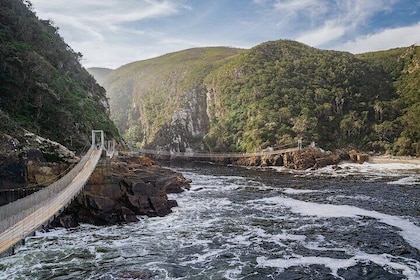 3- Day Garden Route Private Tour from Cape Town