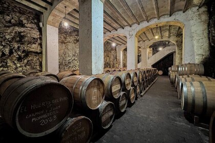 Private Wine Tour to Gutierrez de la Vega Winery with trasfer