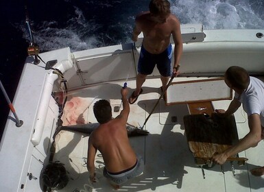 Excursions de pêche d'une demi-journée et d'une journée à Curaçao